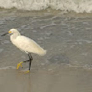 Meet your Posher, Christie